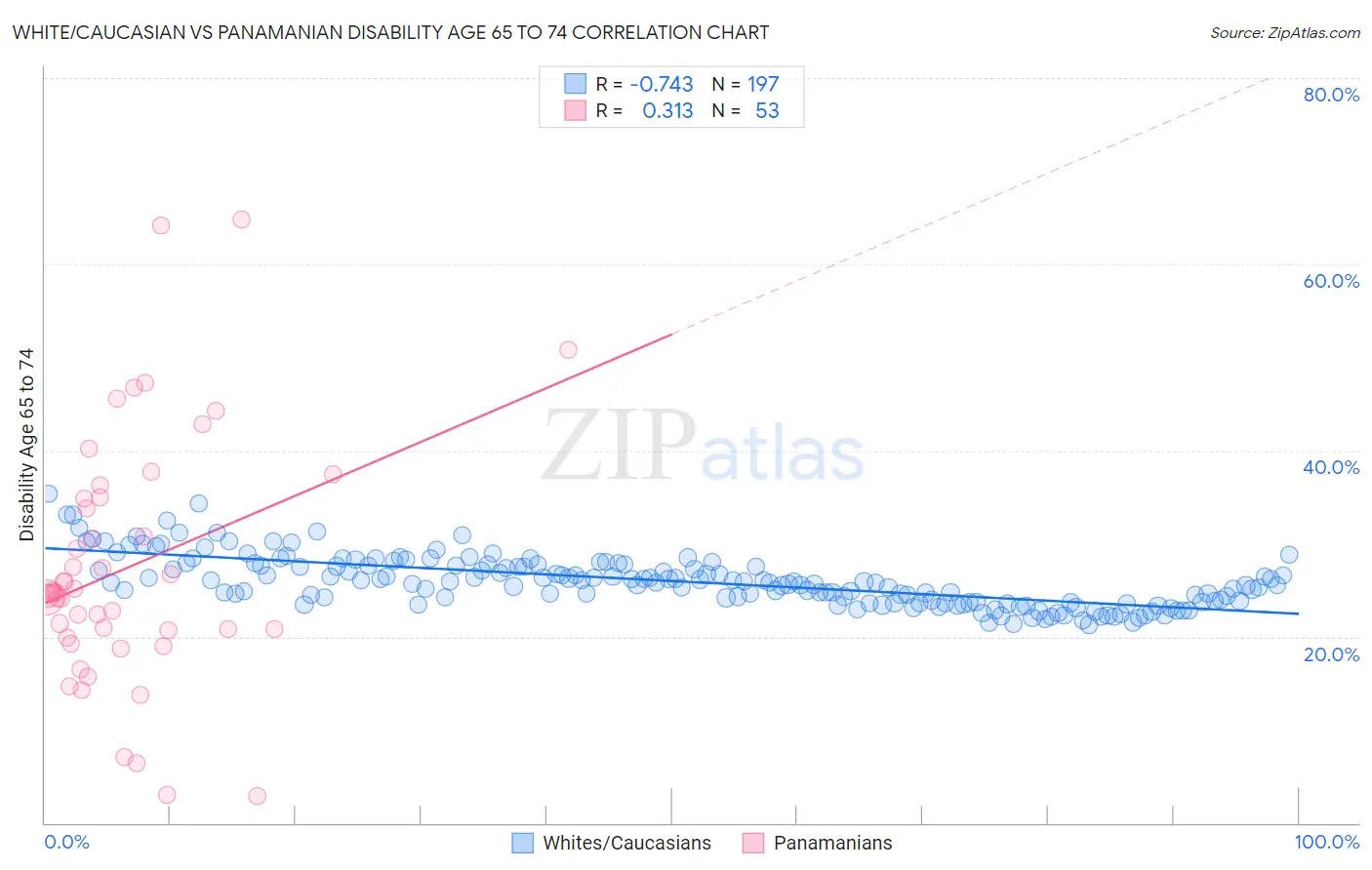 White/Caucasian vs Panamanian Disability Age 65 to 74