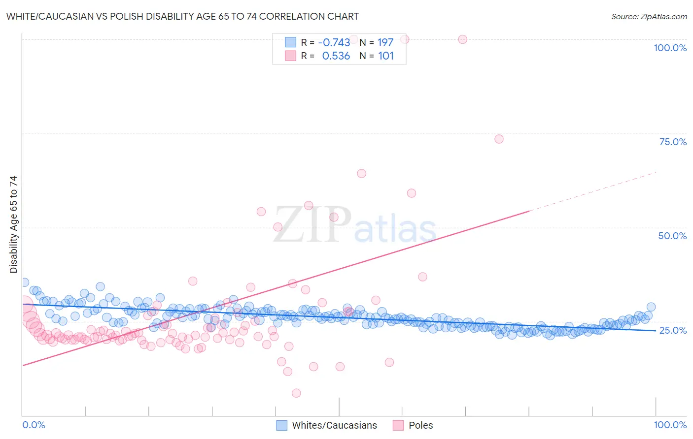 White/Caucasian vs Polish Disability Age 65 to 74
