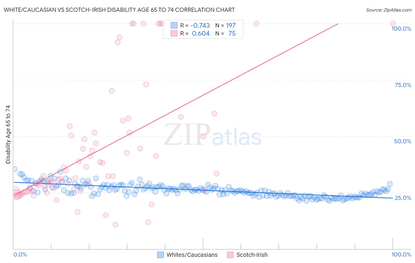 White/Caucasian vs Scotch-Irish Disability Age 65 to 74
