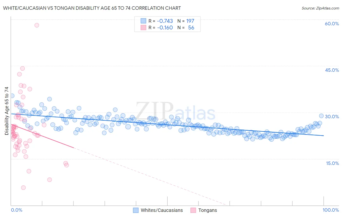 White/Caucasian vs Tongan Disability Age 65 to 74