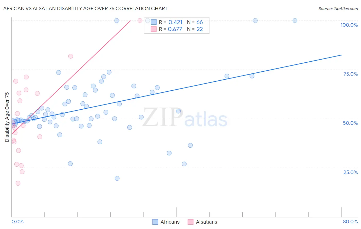 African vs Alsatian Disability Age Over 75