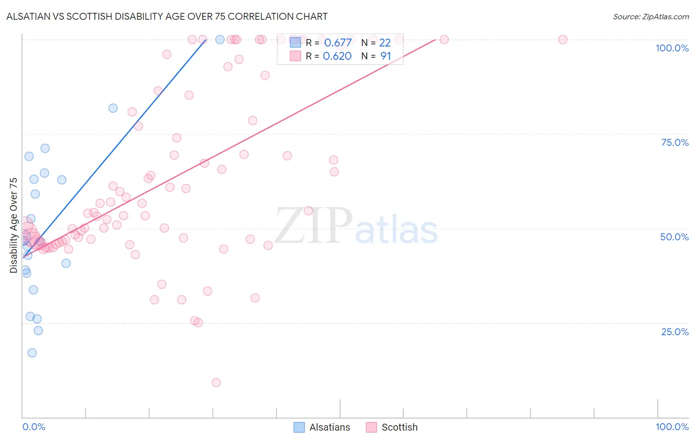 Alsatian vs Scottish Disability Age Over 75