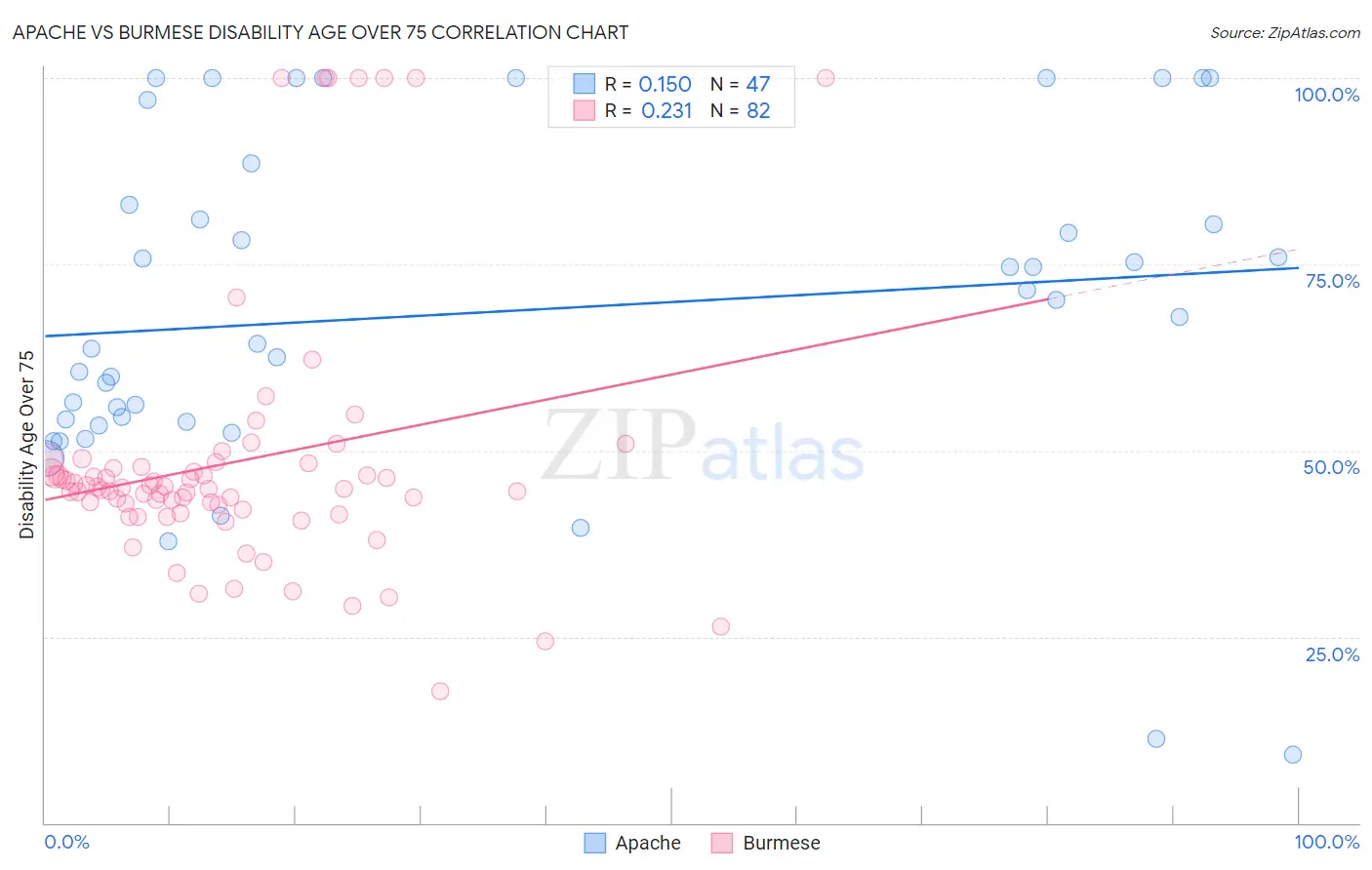Apache vs Burmese Disability Age Over 75