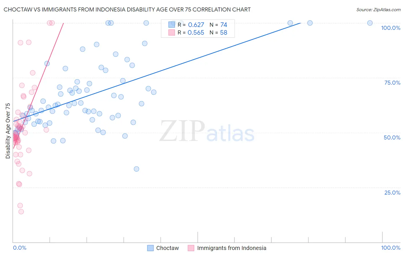 Choctaw vs Immigrants from Indonesia Disability Age Over 75