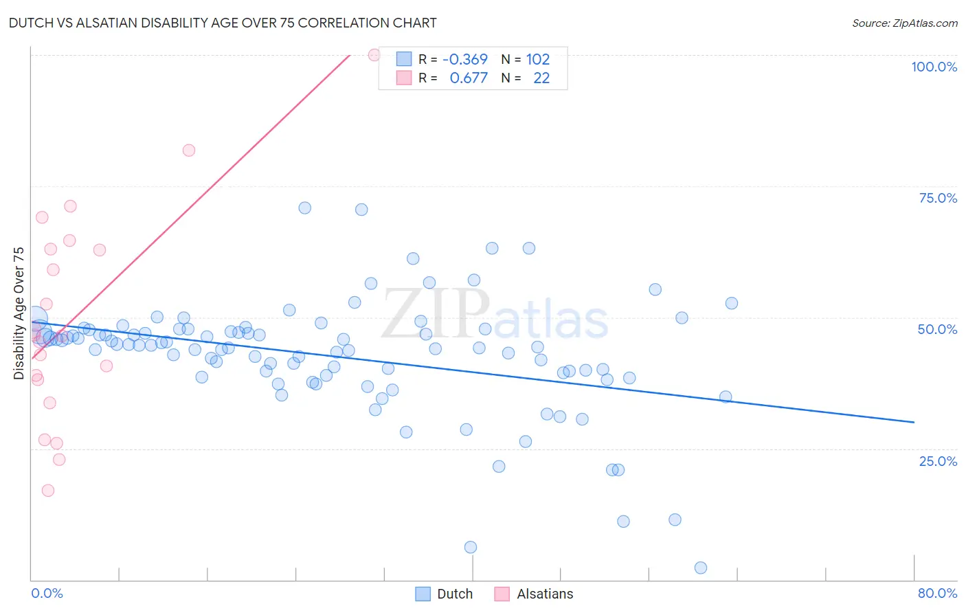 Dutch vs Alsatian Disability Age Over 75