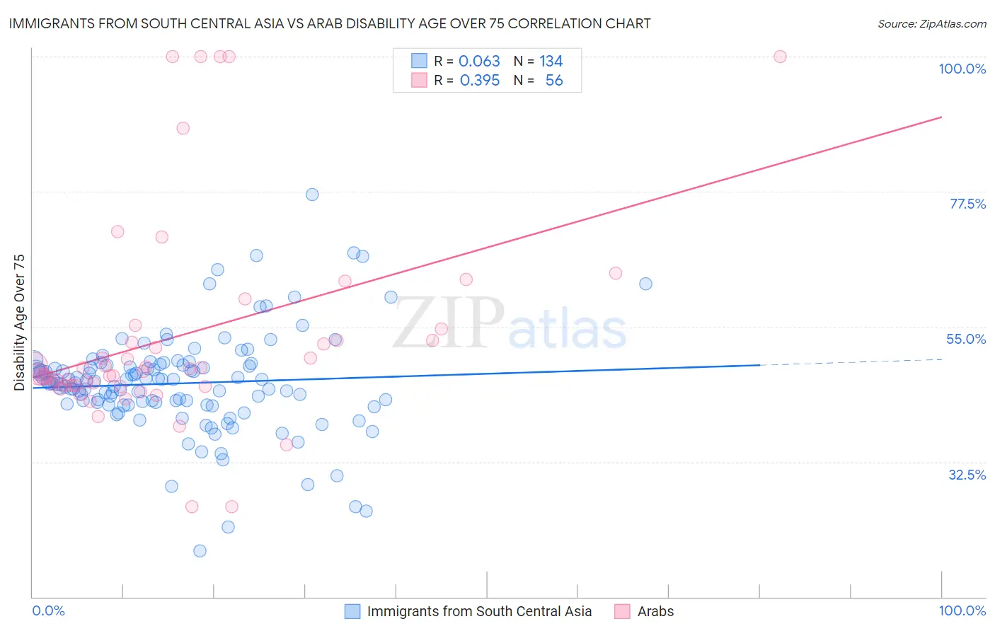 Immigrants from South Central Asia vs Arab Disability Age Over 75