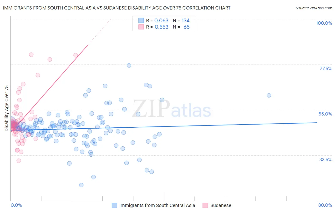 Immigrants from South Central Asia vs Sudanese Disability Age Over 75