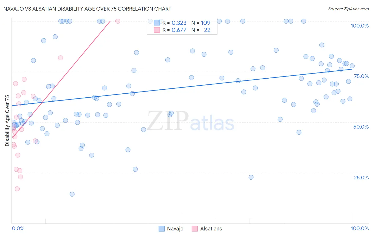 Navajo vs Alsatian Disability Age Over 75