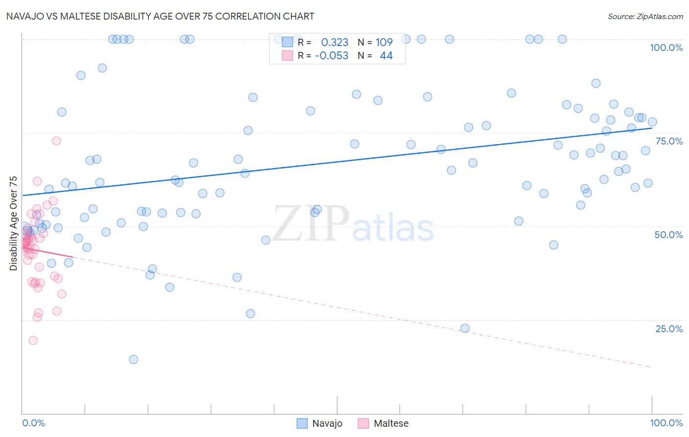 Navajo vs Maltese Disability Age Over 75
