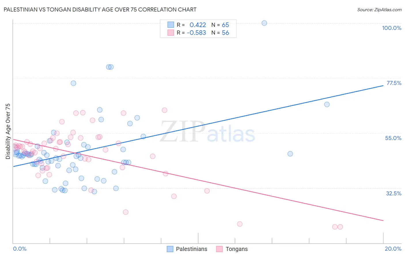 Palestinian vs Tongan Disability Age Over 75