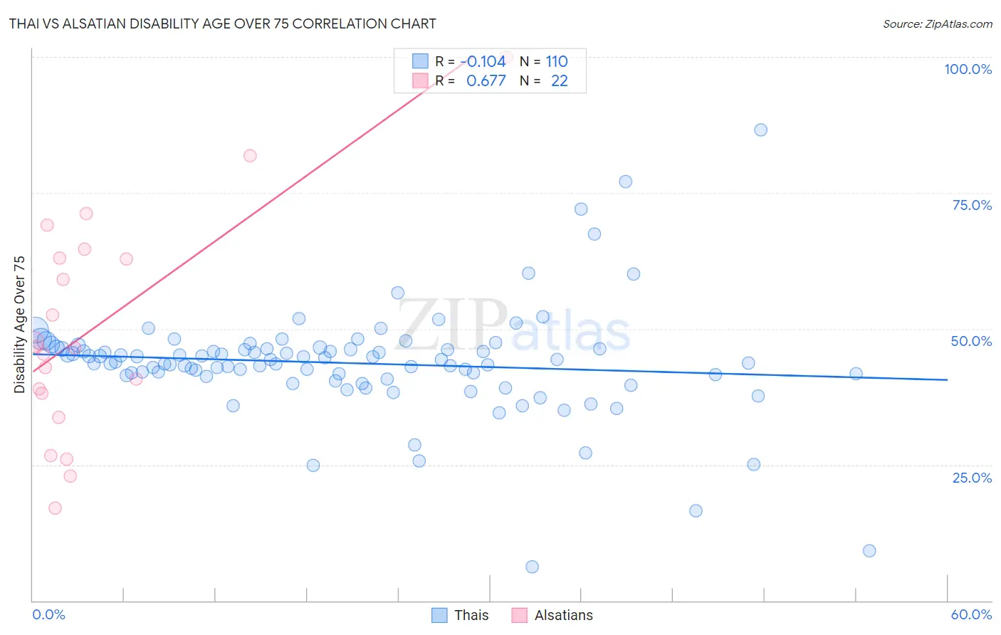 Thai vs Alsatian Disability Age Over 75