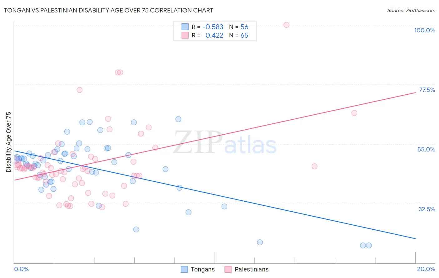 Tongan vs Palestinian Disability Age Over 75