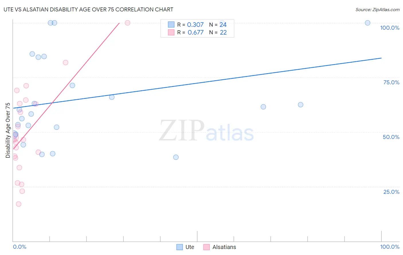 Ute vs Alsatian Disability Age Over 75