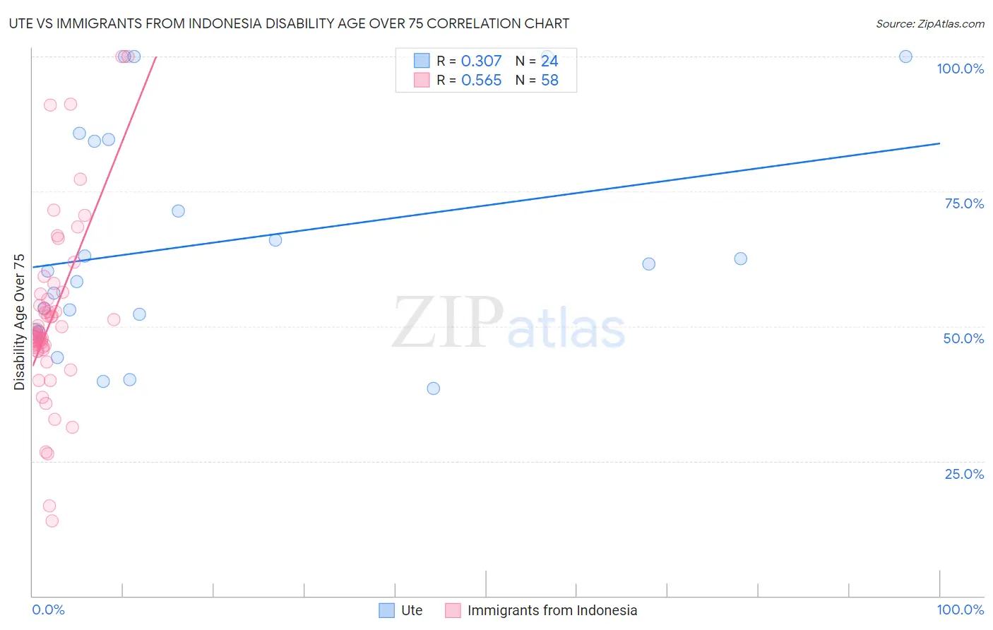 Ute vs Immigrants from Indonesia Disability Age Over 75
