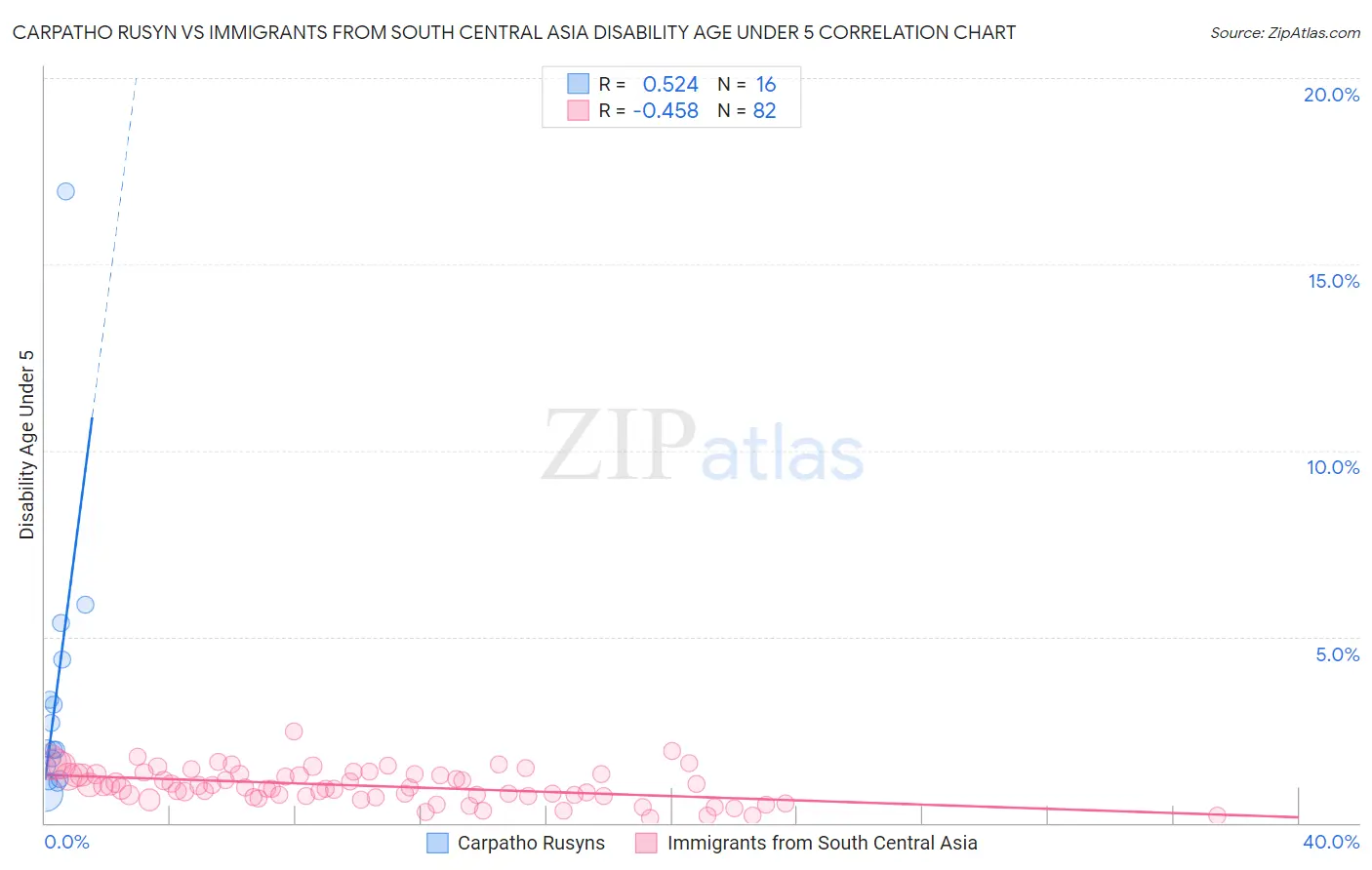 Carpatho Rusyn vs Immigrants from South Central Asia Disability Age Under 5