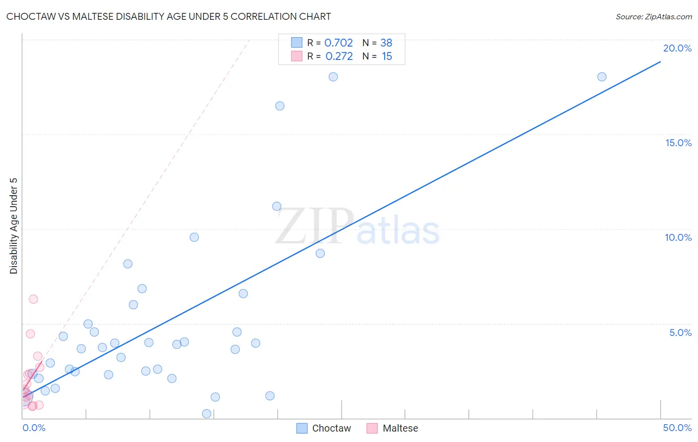 Choctaw vs Maltese Disability Age Under 5