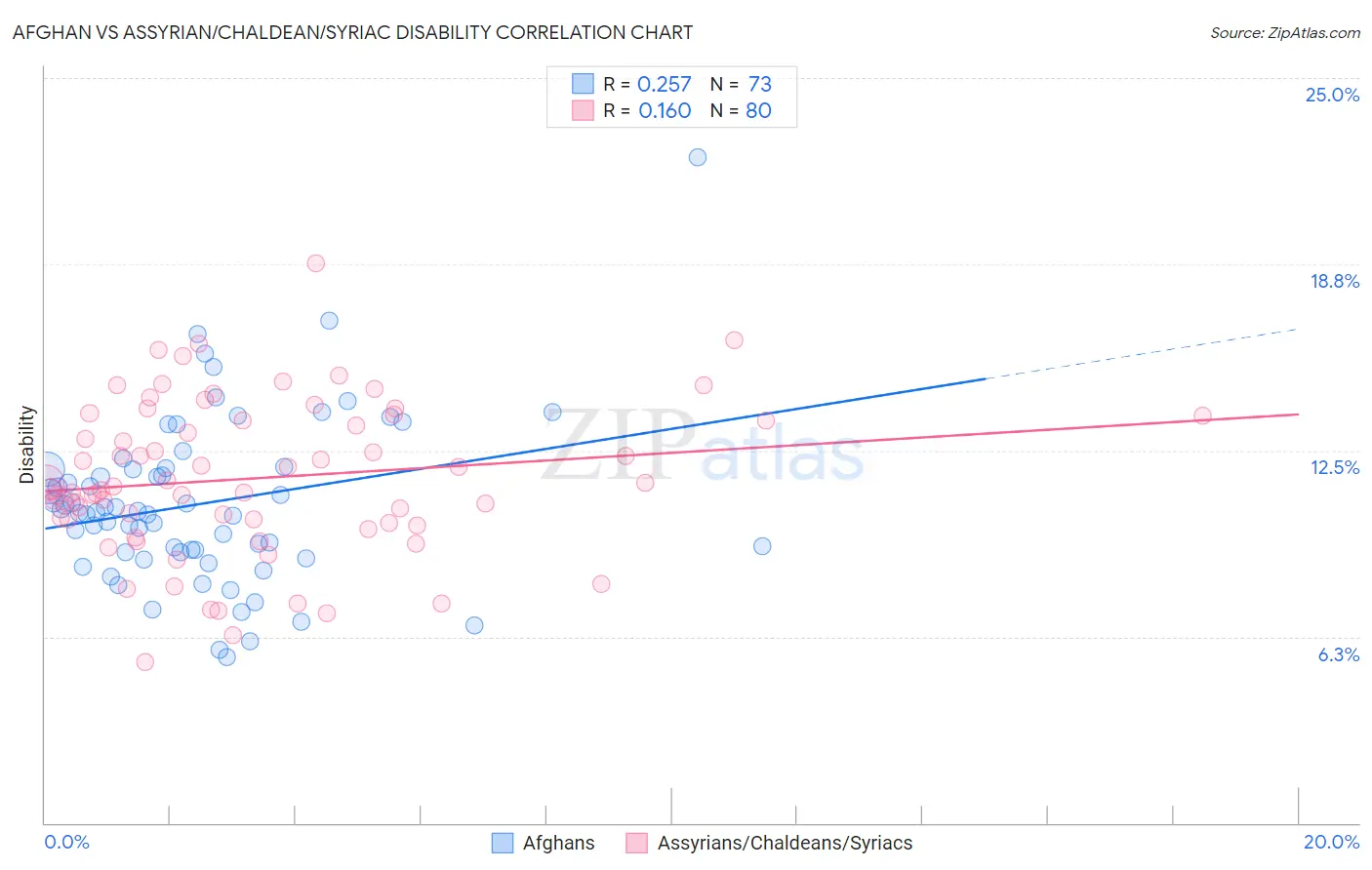 Afghan vs Assyrian/Chaldean/Syriac Disability