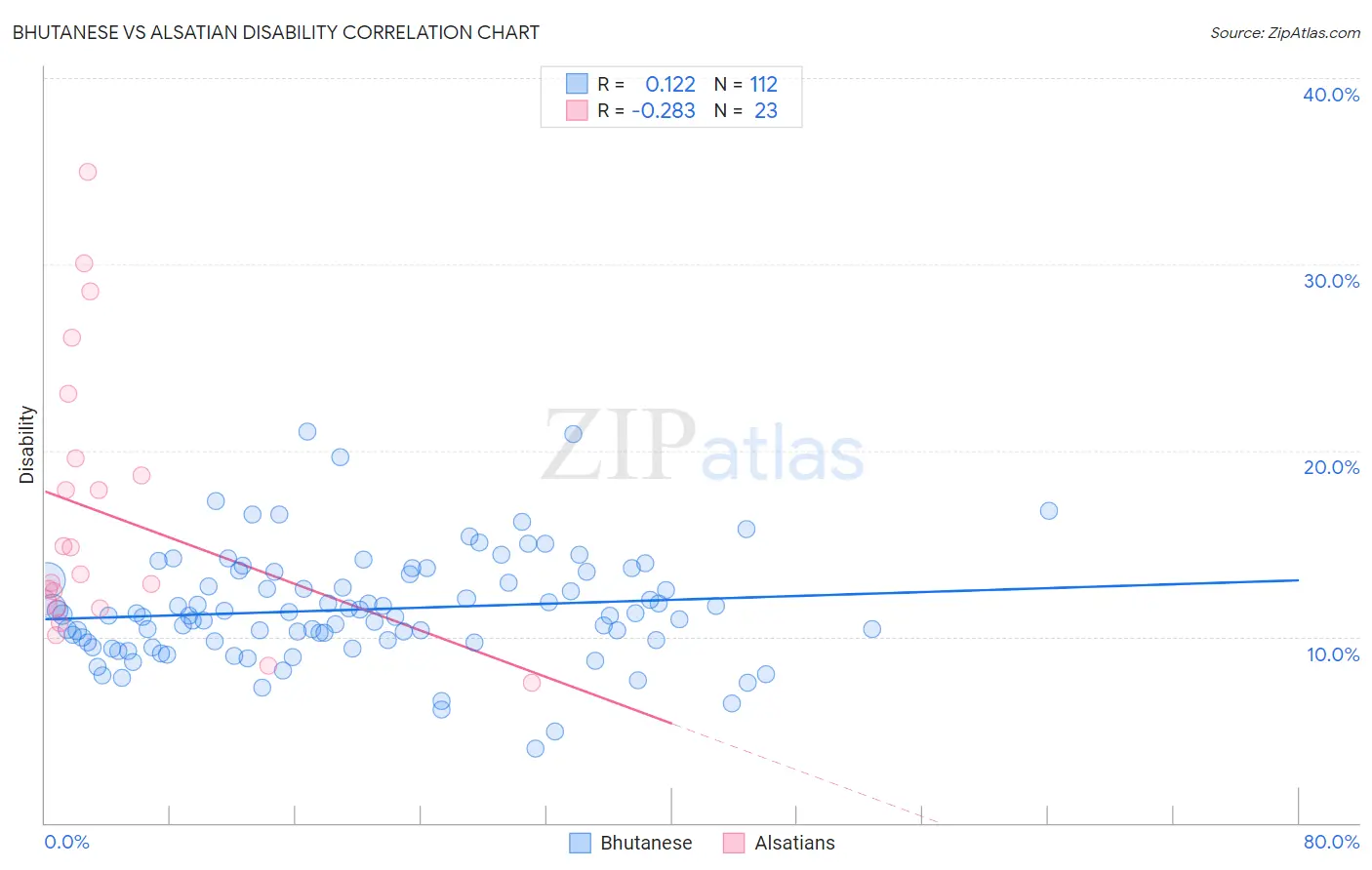 Bhutanese vs Alsatian Disability