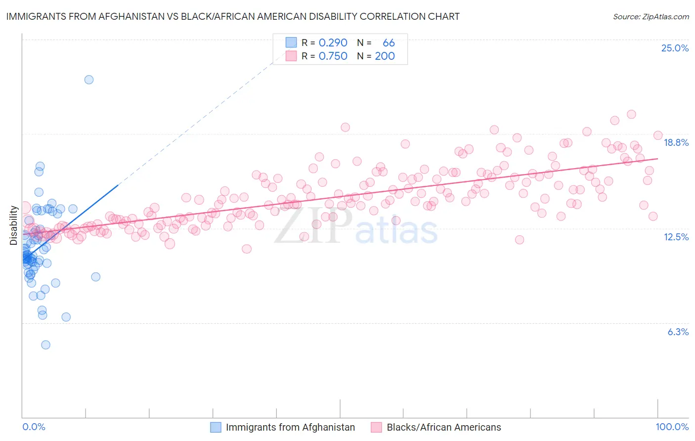 Immigrants from Afghanistan vs Black/African American Disability