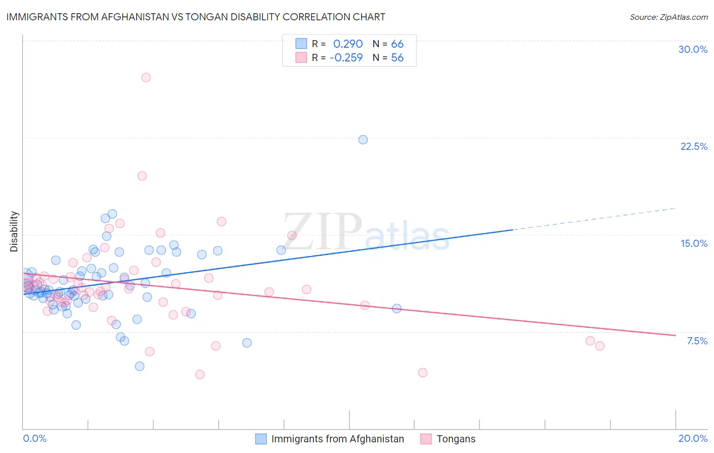 Immigrants from Afghanistan vs Tongan Disability