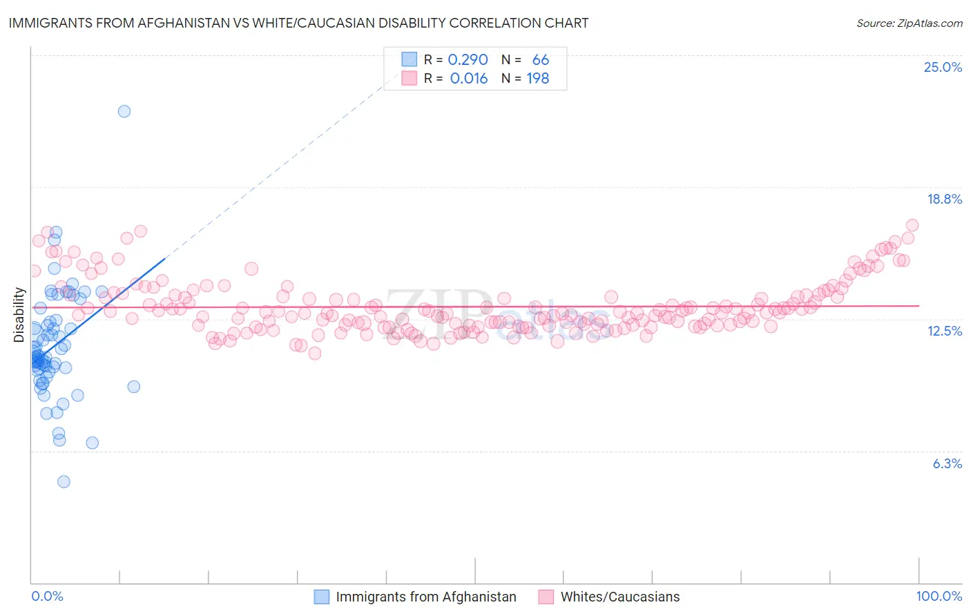Immigrants from Afghanistan vs White/Caucasian Disability