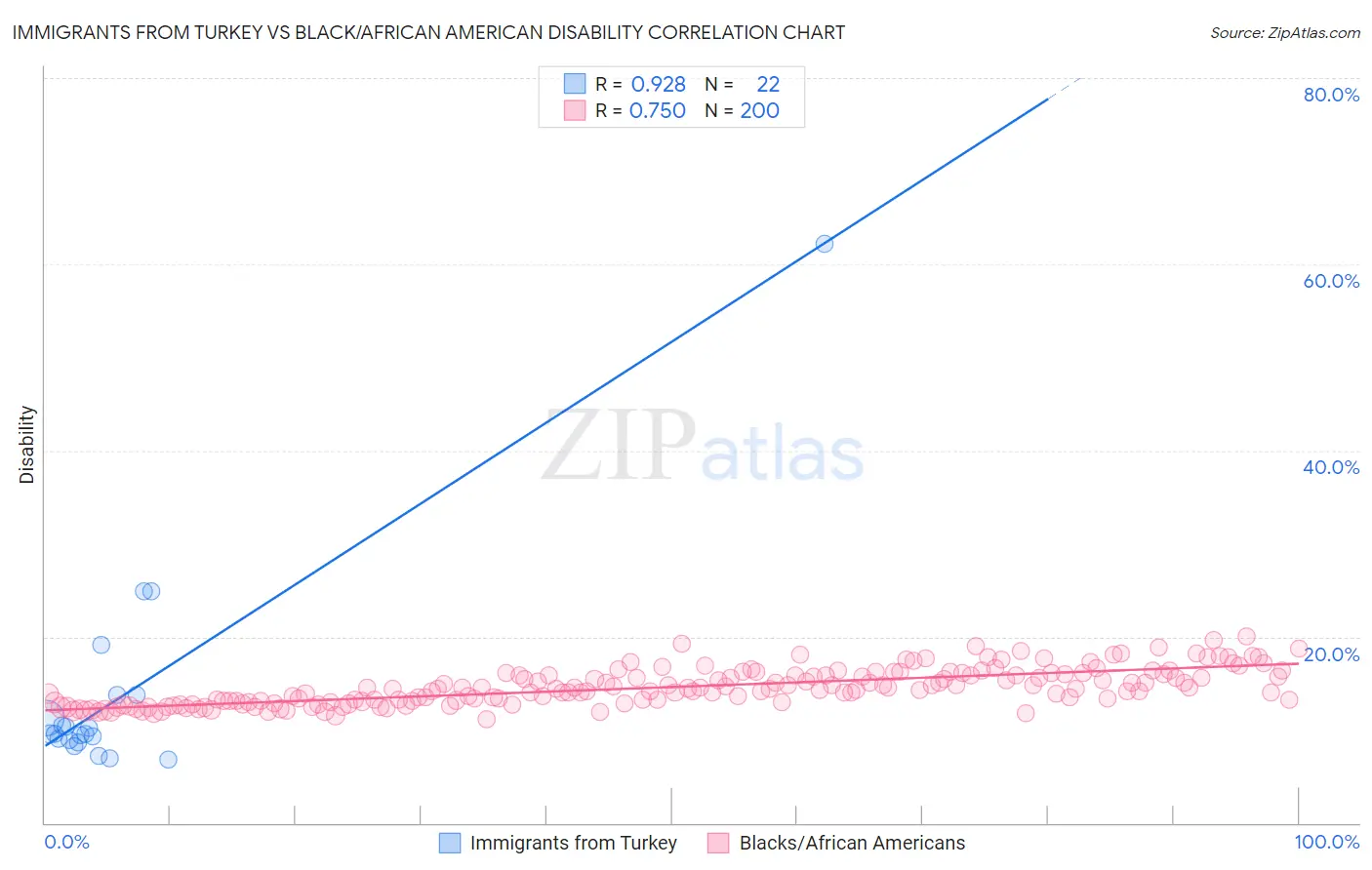 Immigrants from Turkey vs Black/African American Disability