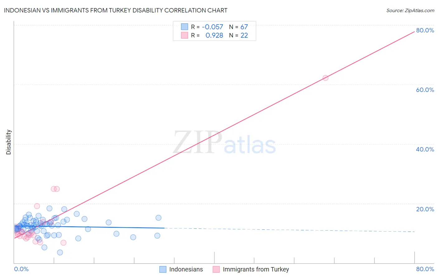 Indonesian vs Immigrants from Turkey Disability