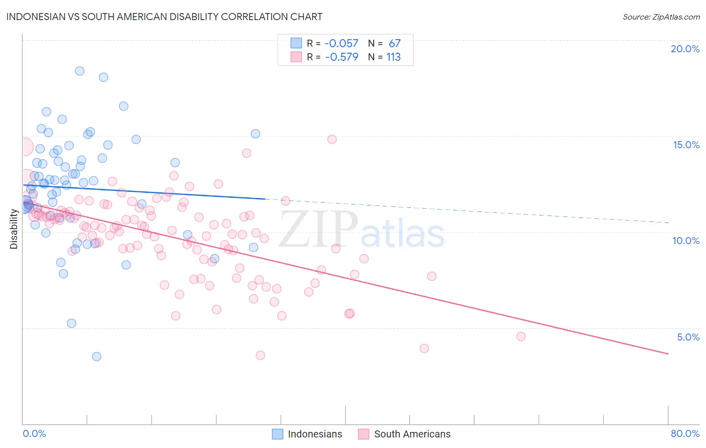 Indonesian vs South American Disability