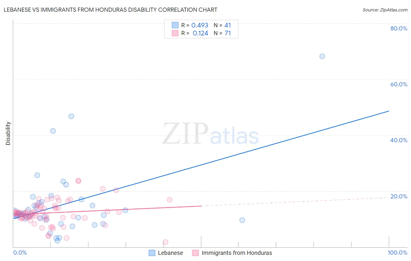 Lebanese vs Immigrants from Honduras Disability