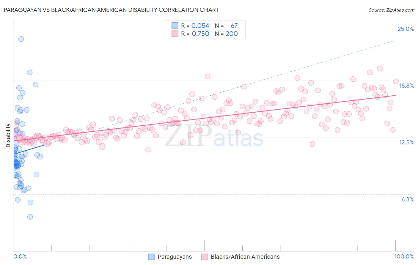 Paraguayan vs Black/African American Disability