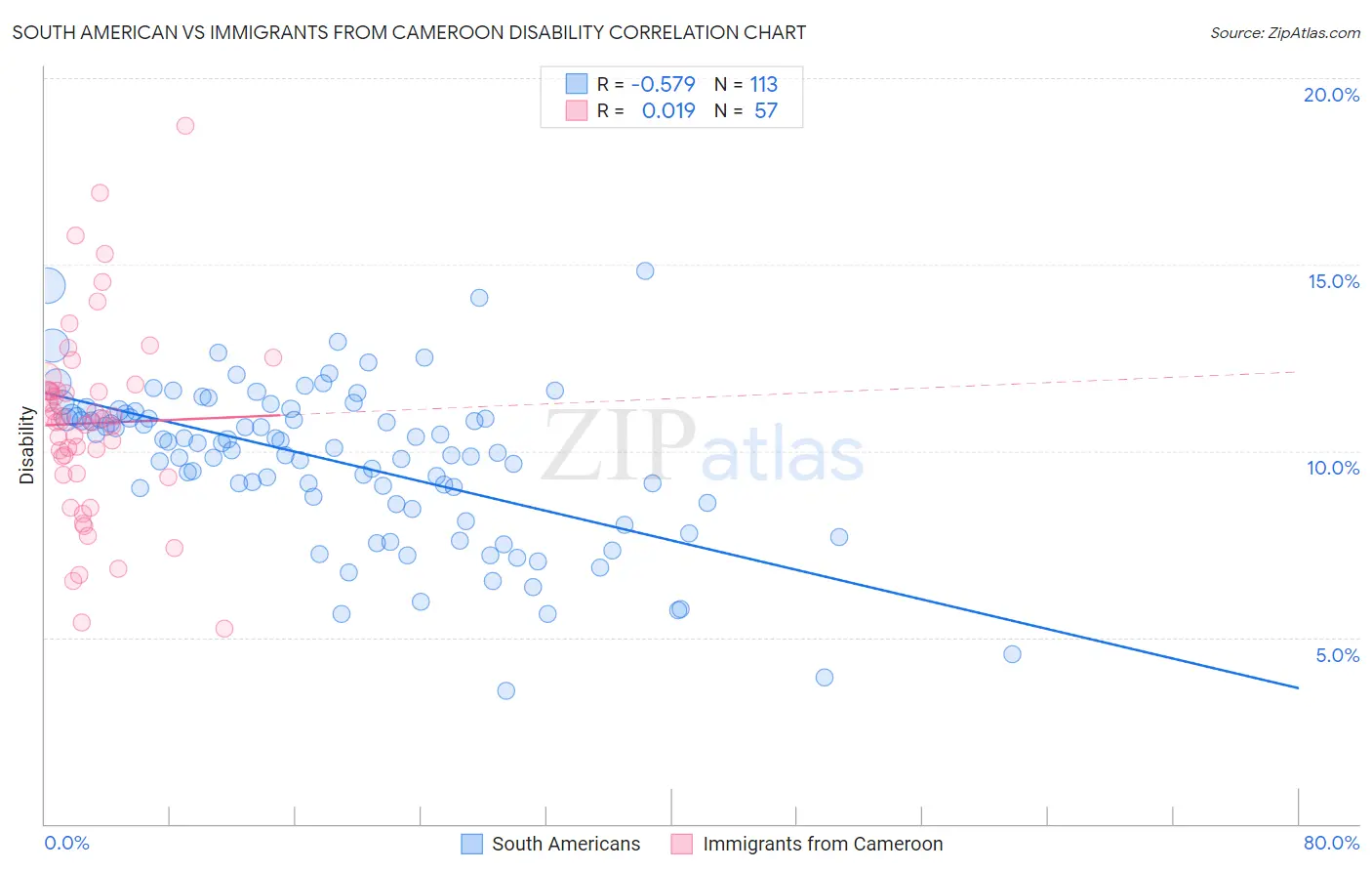 South American vs Immigrants from Cameroon Disability