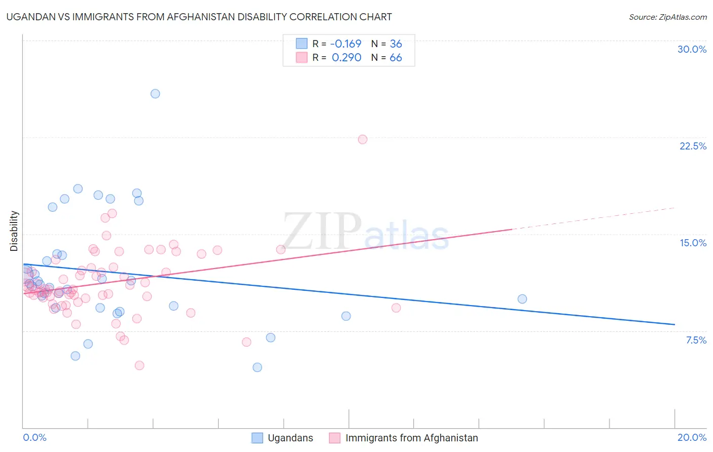 Ugandan vs Immigrants from Afghanistan Disability