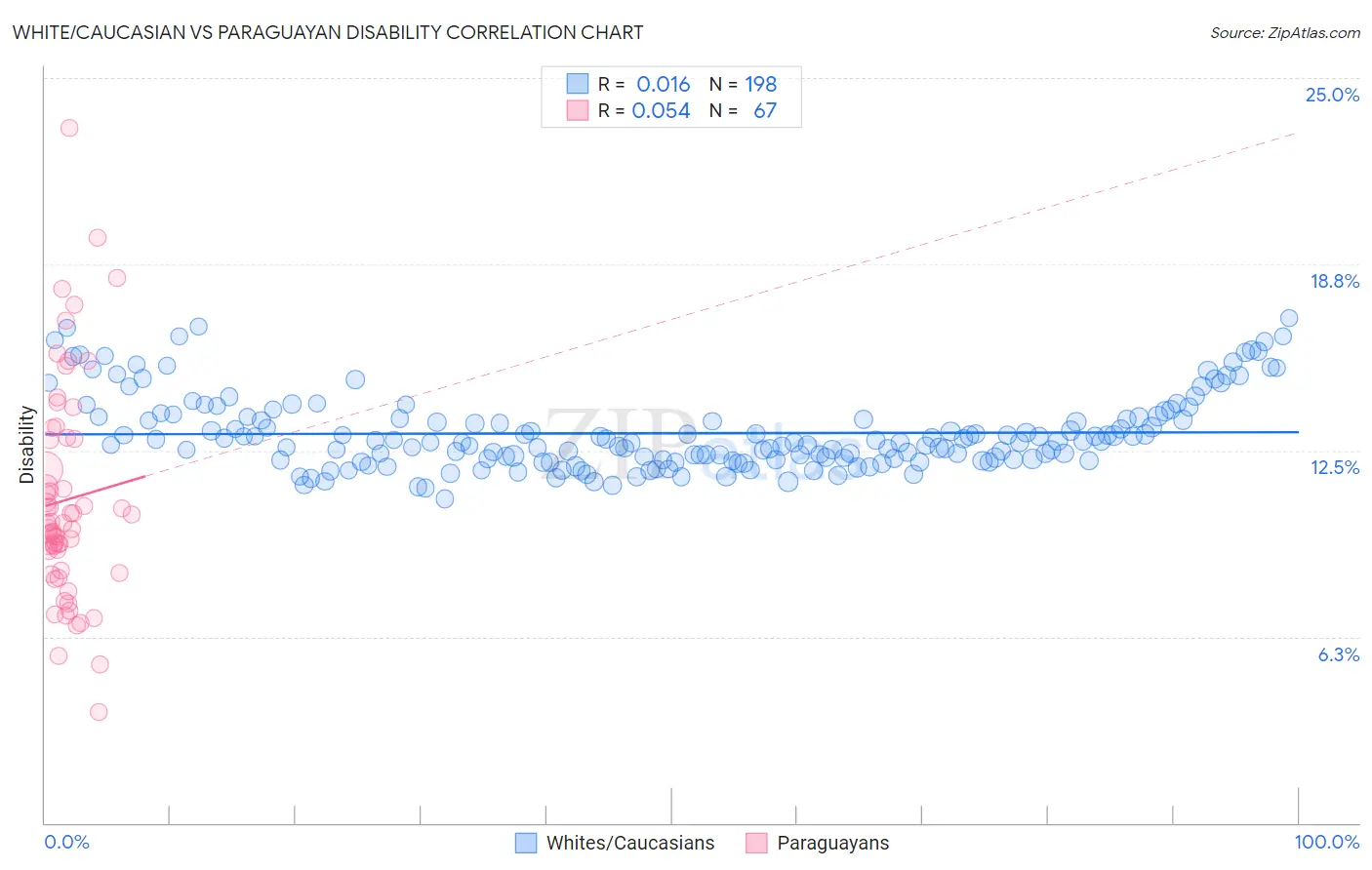 White/Caucasian vs Paraguayan Disability