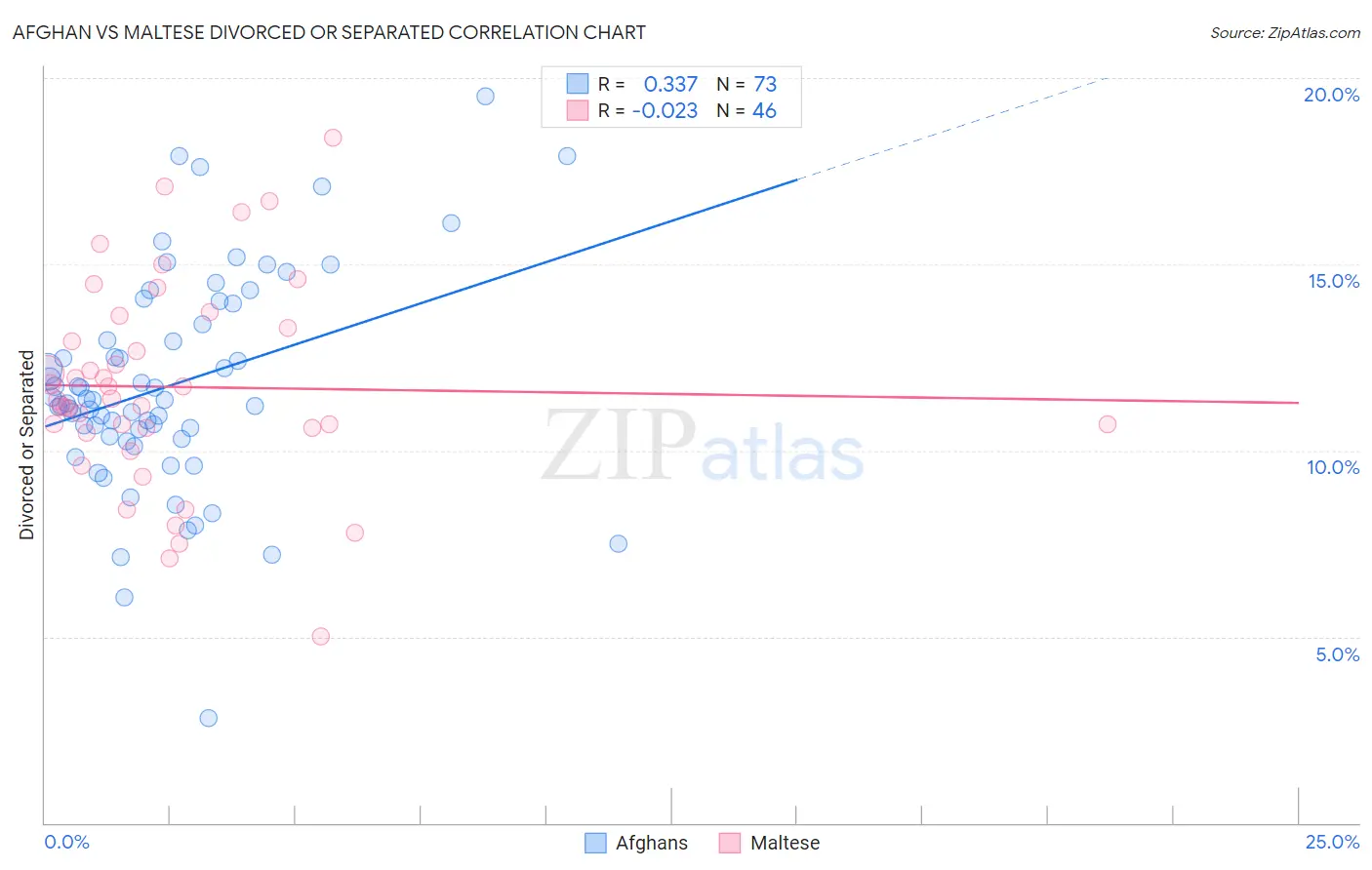 Afghan vs Maltese Divorced or Separated