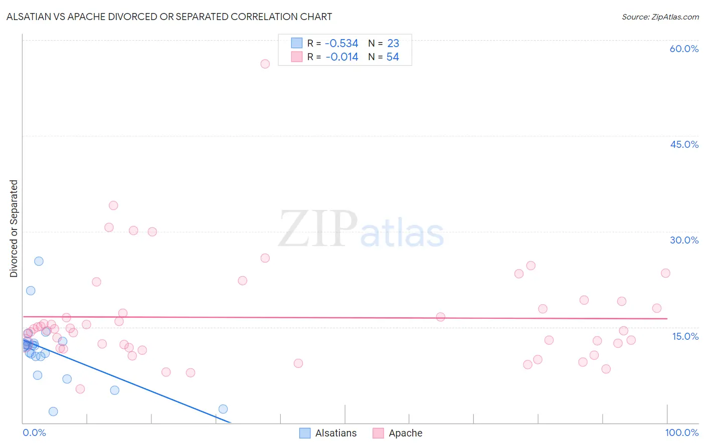 Alsatian vs Apache Divorced or Separated