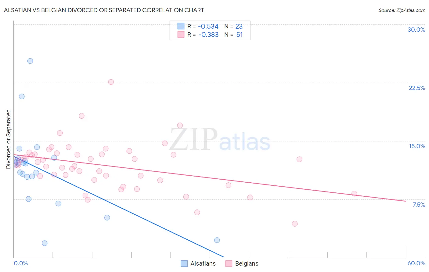 Alsatian vs Belgian Divorced or Separated