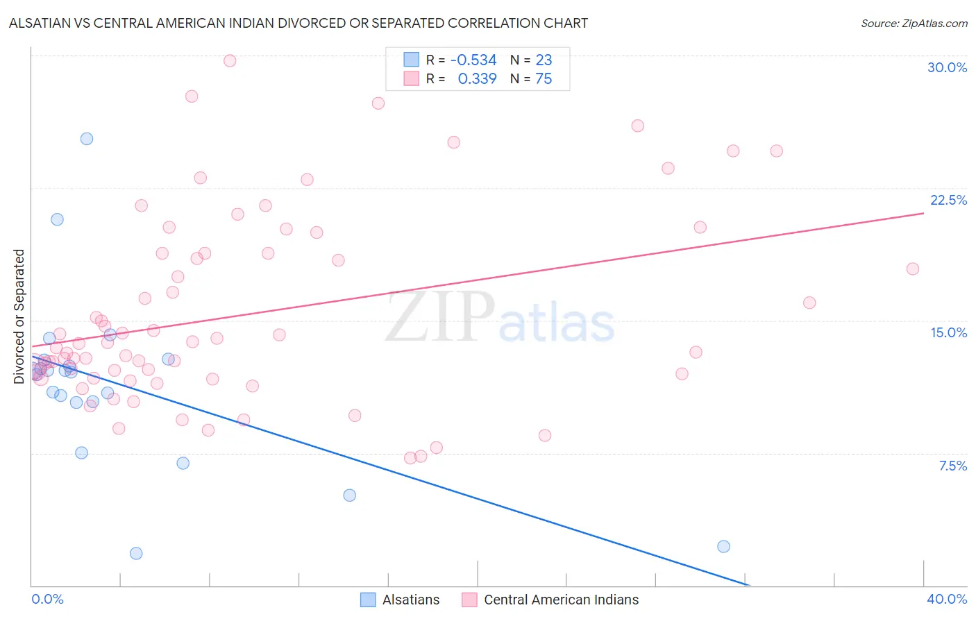 Alsatian vs Central American Indian Divorced or Separated