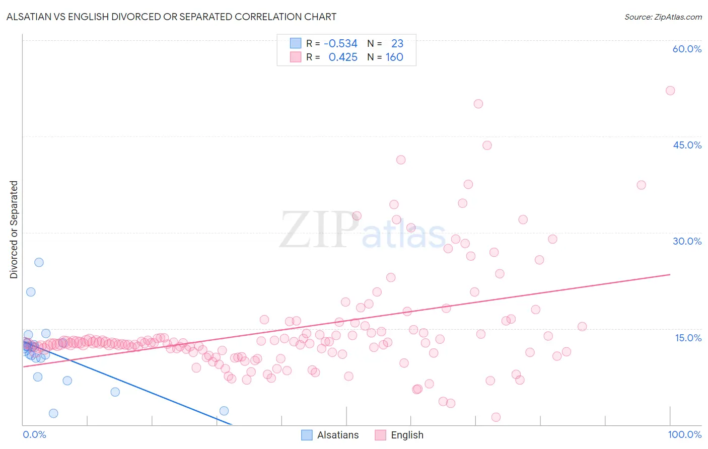 Alsatian vs English Divorced or Separated