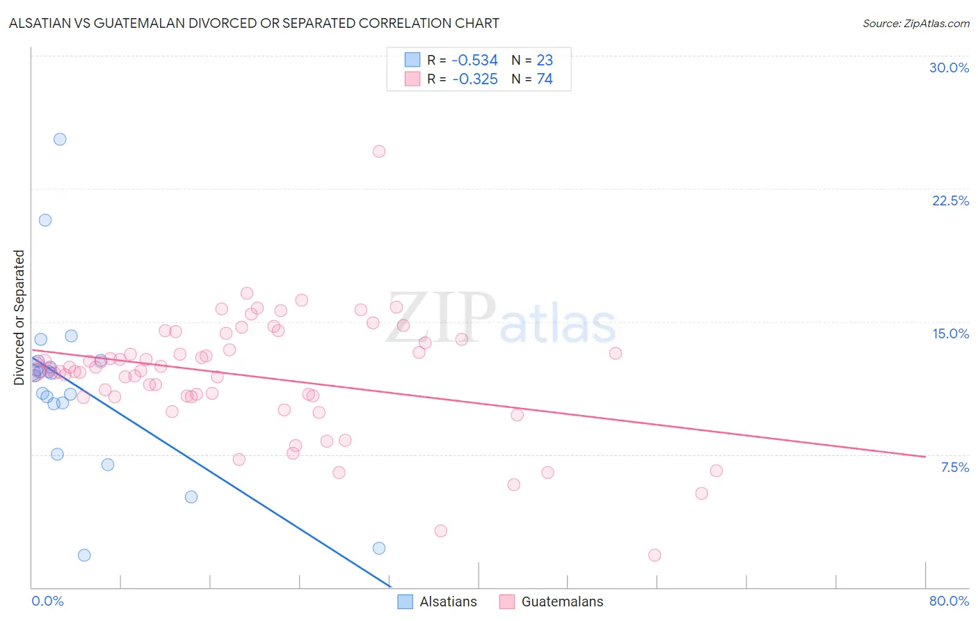 Alsatian vs Guatemalan Divorced or Separated