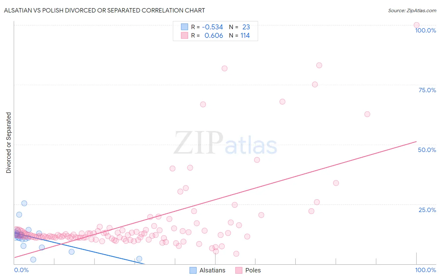 Alsatian vs Polish Divorced or Separated