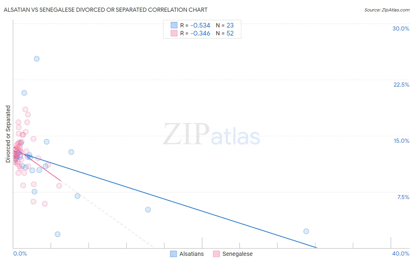 Alsatian vs Senegalese Divorced or Separated