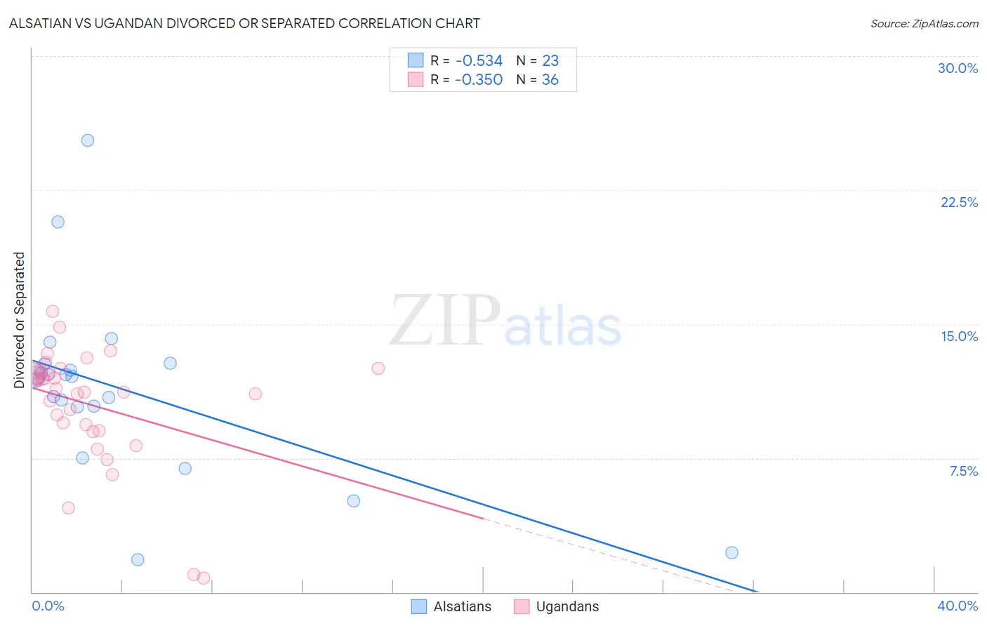Alsatian vs Ugandan Divorced or Separated