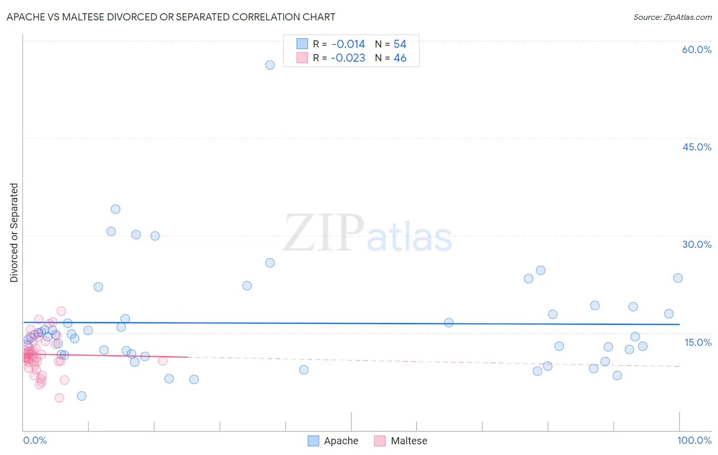 Apache vs Maltese Divorced or Separated