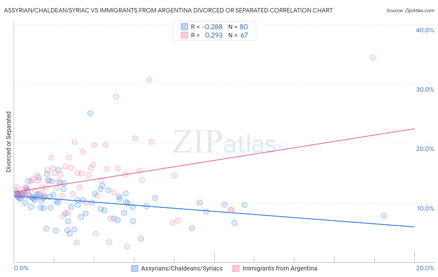 Assyrian/Chaldean/Syriac vs Immigrants from Argentina Divorced or Separated