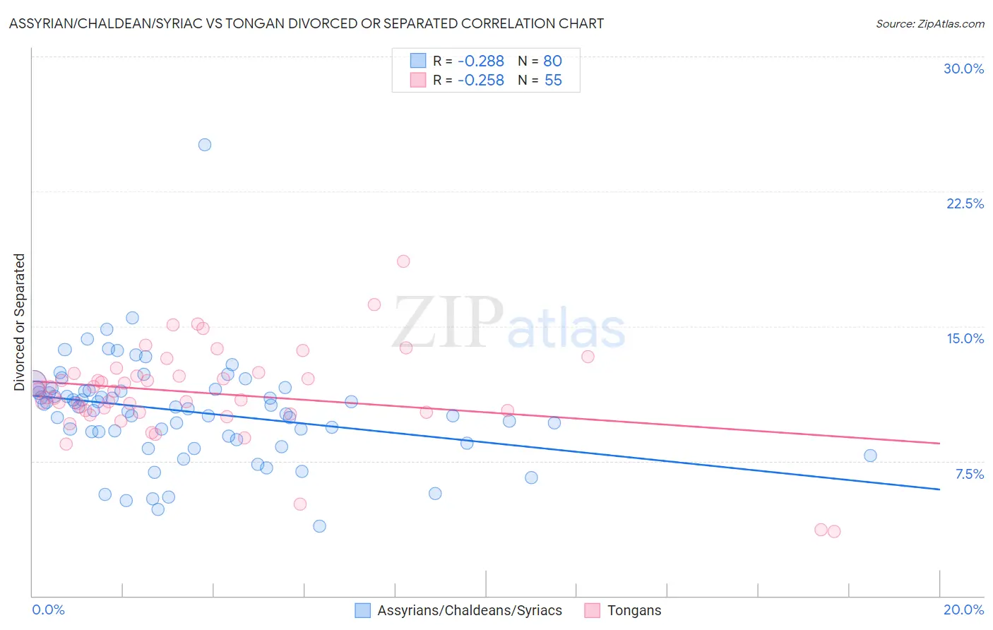 Assyrian/Chaldean/Syriac vs Tongan Divorced or Separated