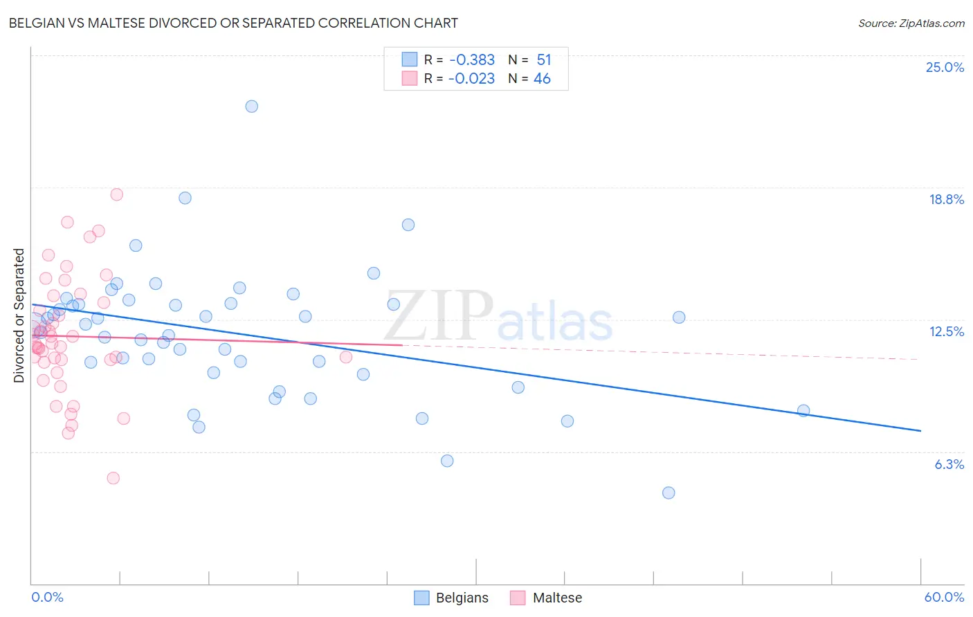 Belgian vs Maltese Divorced or Separated