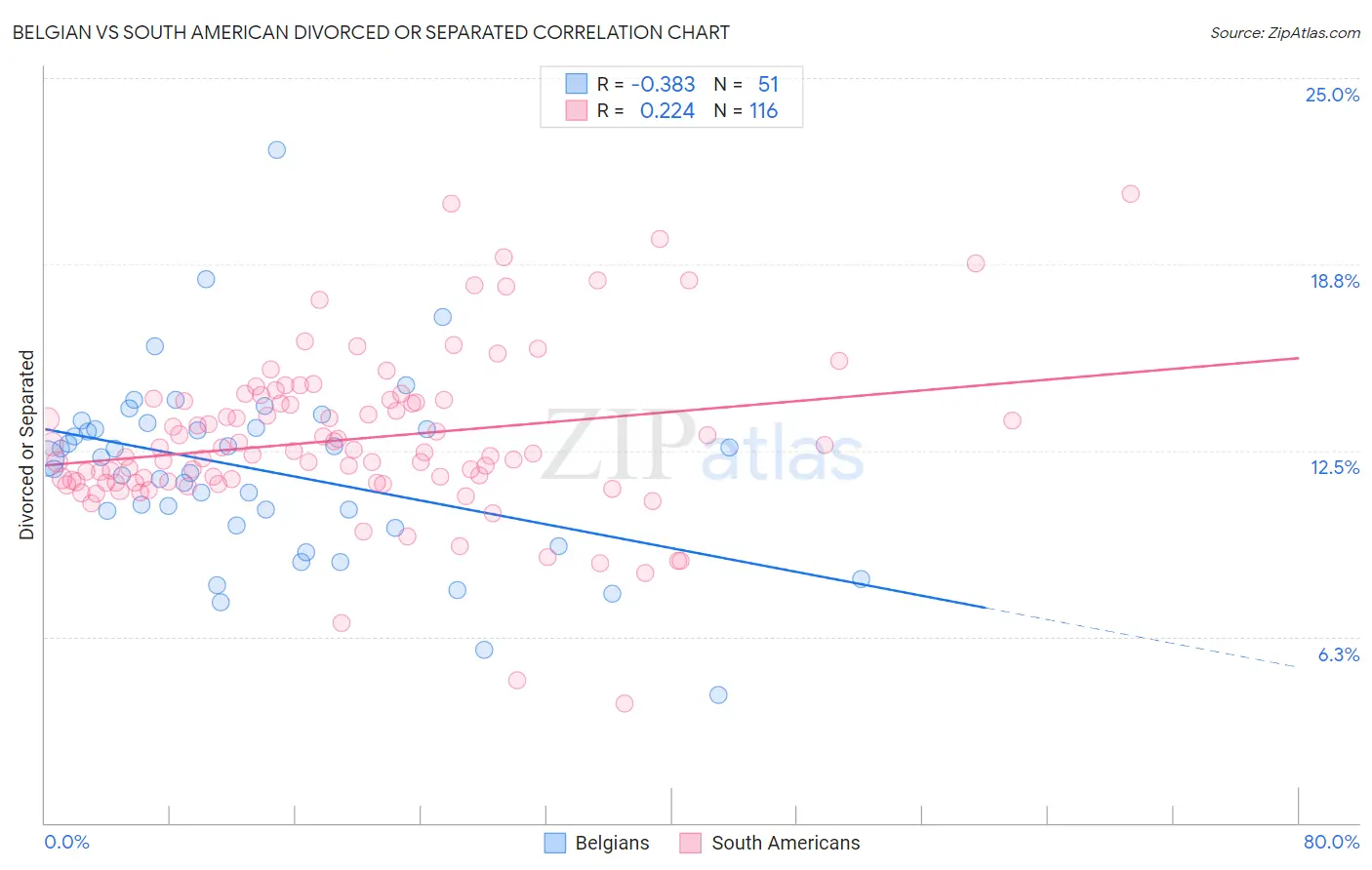 Belgian vs South American Divorced or Separated