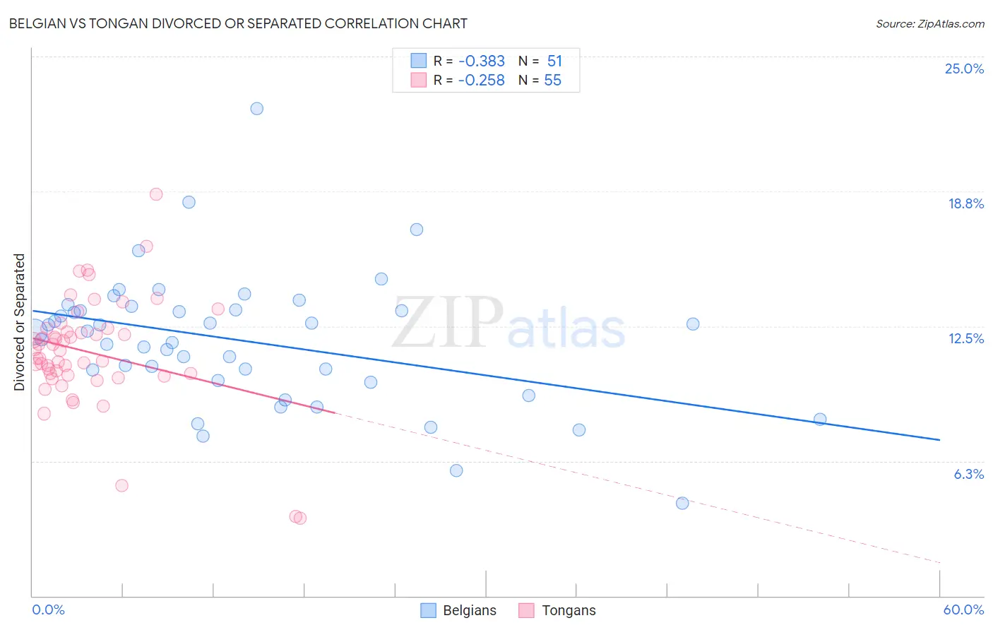 Belgian vs Tongan Divorced or Separated