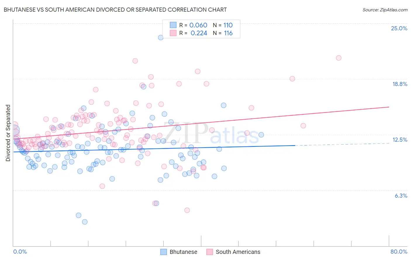 Bhutanese vs South American Divorced or Separated