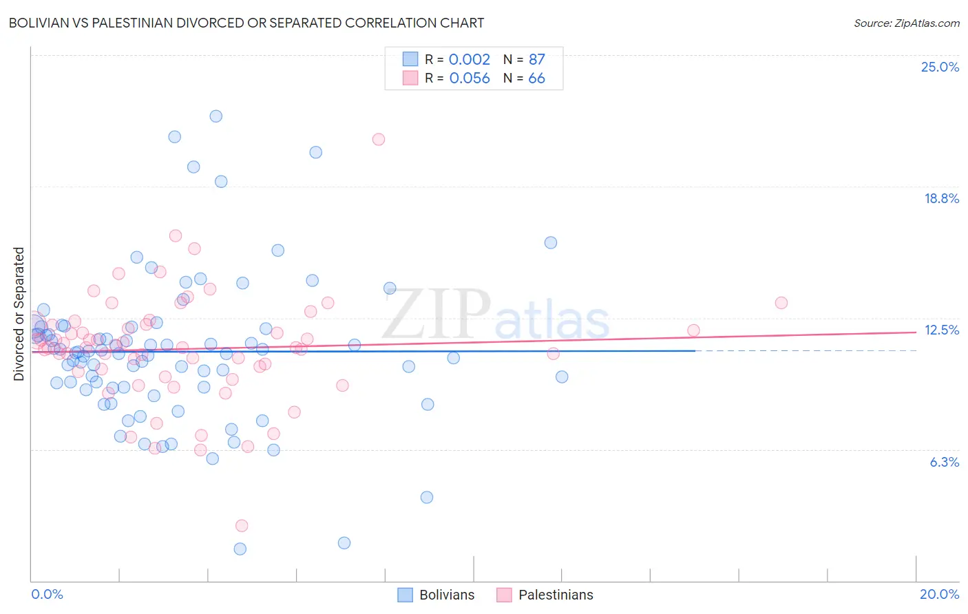 Bolivian vs Palestinian Divorced or Separated